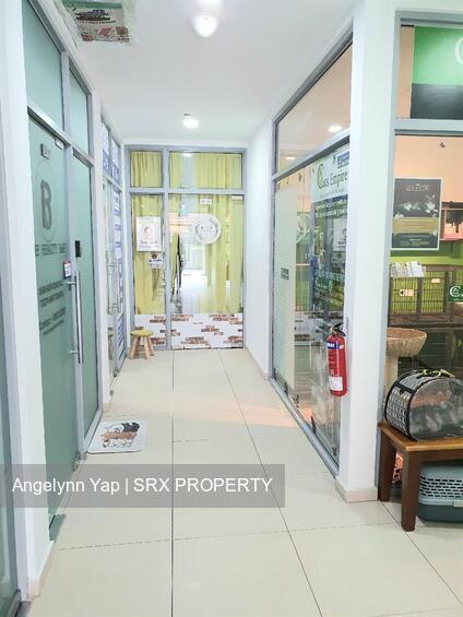 Suites at Bukit Timah thumbnail photo